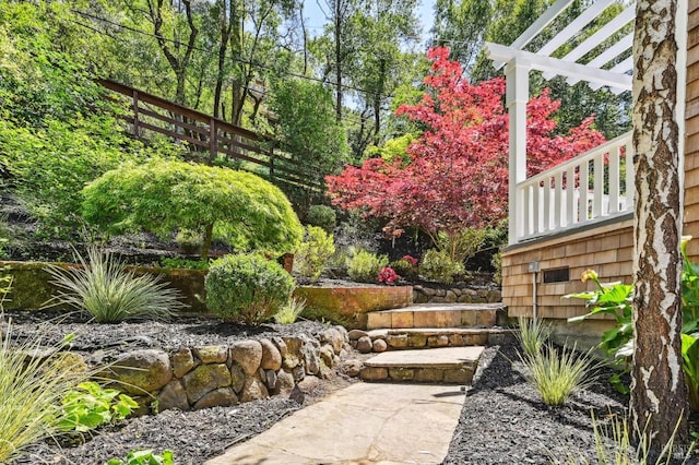 354 Forrest Ave, Fairfax, CA 94930 - view of yard