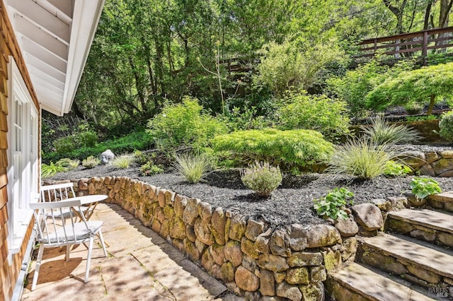 354 Forrest Ave, Fairfax, CA 94930 - view of patio / terrace