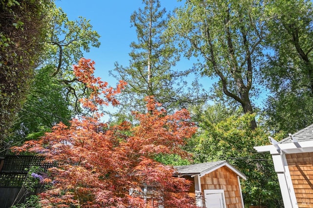 354 Forrest Ave, Fairfax, CA 94930 - view of yard with a storage unit