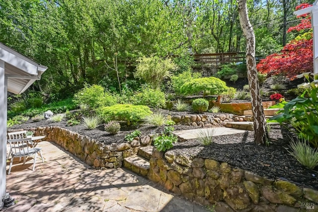 354 Forrest Ave, Fairfax, CA 94930 - view of yard with a patio