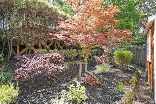 354 Forrest Ave, Fairfax, CA 94930 - view of yard