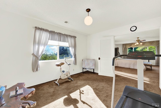410 Duvall Ct, Benicia, CA 94510 - exercise room featuring visible vents, ceiling fan, carpet, and plenty of natural light
