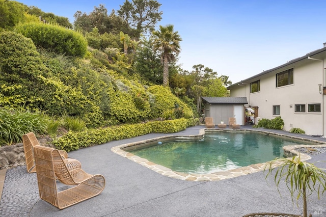 outdoor pool featuring an outdoor structure, a storage shed, and a patio