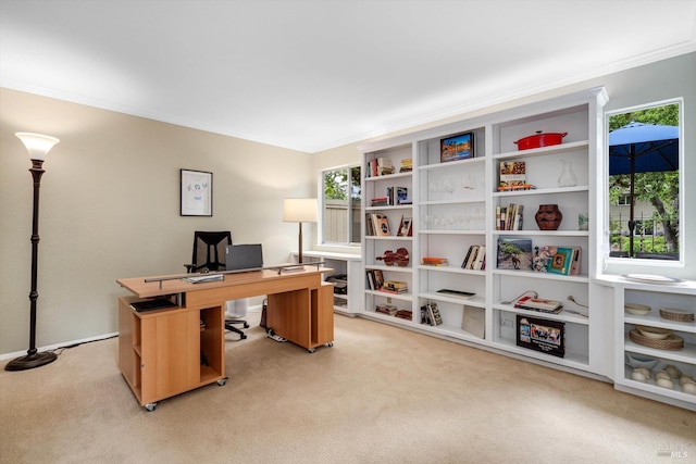 1206 Cayetano Dr, Napa, CA 94559 - home office featuring light colored carpet, a wealth of natural light, and crown molding