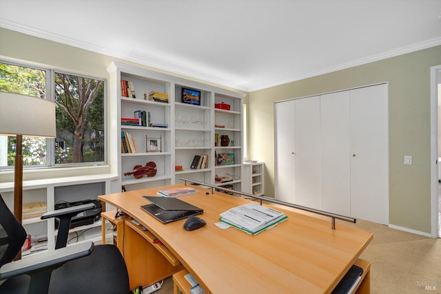 1206 Cayetano Dr, Napa, CA 94559 - office area featuring light carpet and ornamental molding