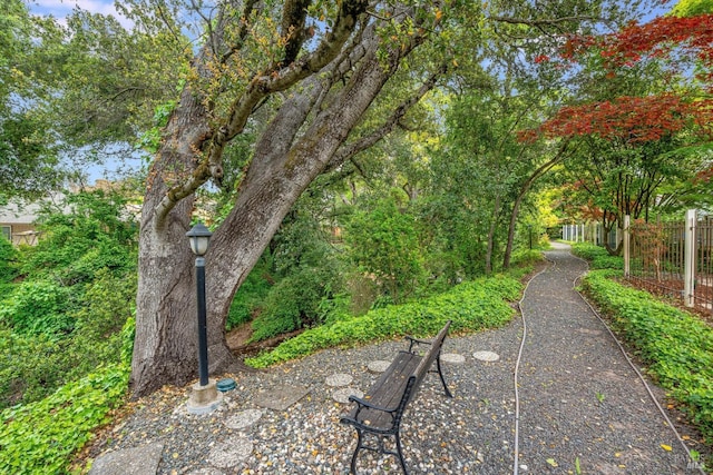 1206 Cayetano Dr, Napa, CA 94559 - view of property's community featuring fence