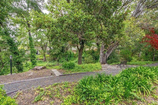 1206 Cayetano Dr, Napa, CA 94559 - view of yard