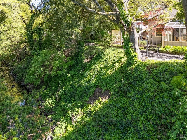 1206 Cayetano Dr, Napa, CA 94559 - view of yard
