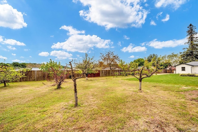 view of yard featuring a fenced backyard