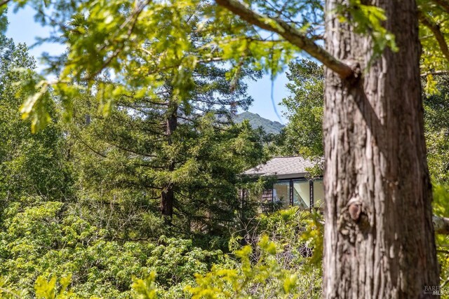12 Jones Way, Larkspur, CA 94939 - view of side of property with a forest view and a mountain view