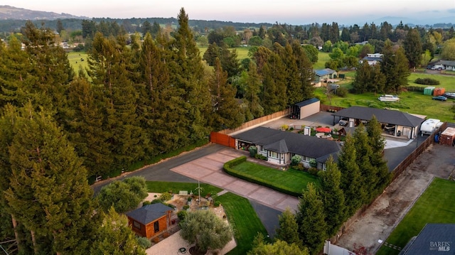 bird's eye view
