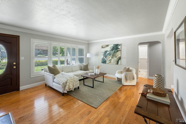 1036 Summit Ave, Napa, CA 94559 - living room with a textured ceiling, arched walkways, light wood-style flooring, ornamental molding, and baseboards