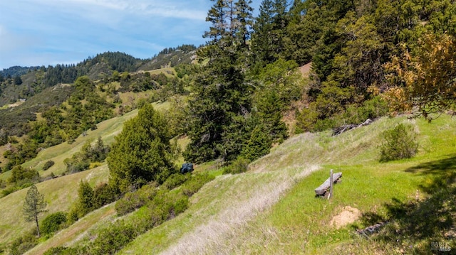 15800 Ridgeview Rd, Willits, CA 95490