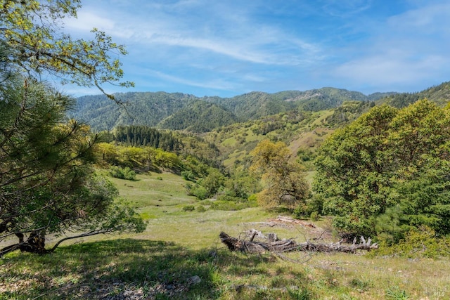 15800 Ridgeview Rd, Willits, CA 95490