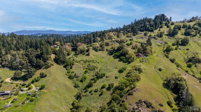 15800 Ridgeview Rd, Willits, CA 95490