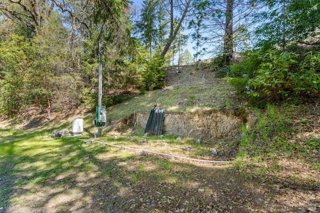 15800 Ridgeview Rd, Willits, CA 95490