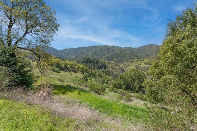 15800 Ridgeview Rd, Willits, CA 95490