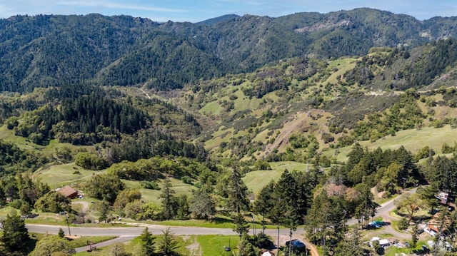 15800 Ridgeview Rd, Willits, CA 95490