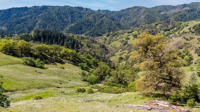 15800 Ridgeview Rd, Willits, CA 95490