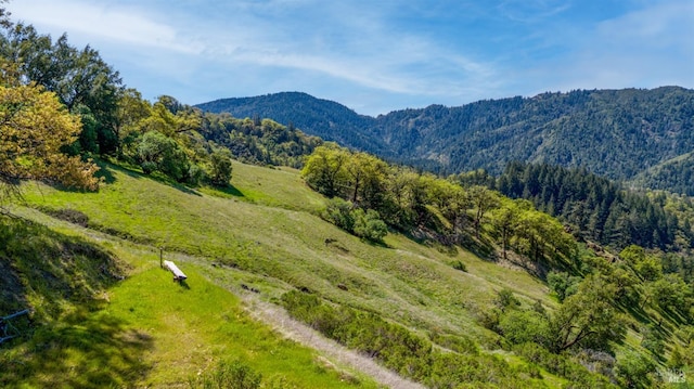 15800 Ridgeview Rd, Willits, CA 95490