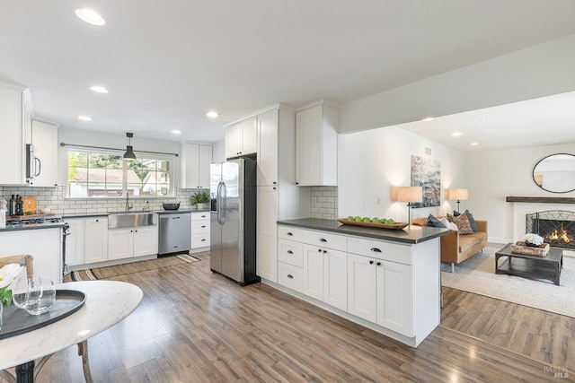 kitchen with open floor plan, dark countertops, stainless steel appliances, a sink, and wood finished floors