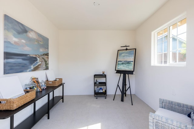misc room with carpet