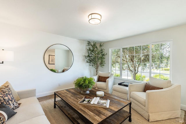 living room with baseboards, wood finished floors, and a healthy amount of sunlight