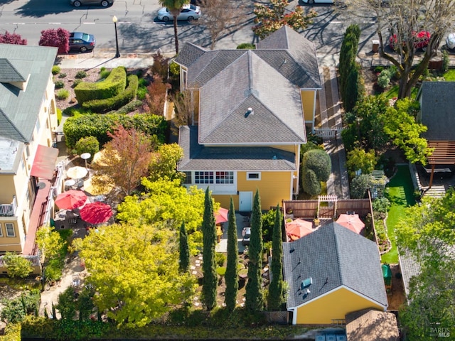 bird's eye view