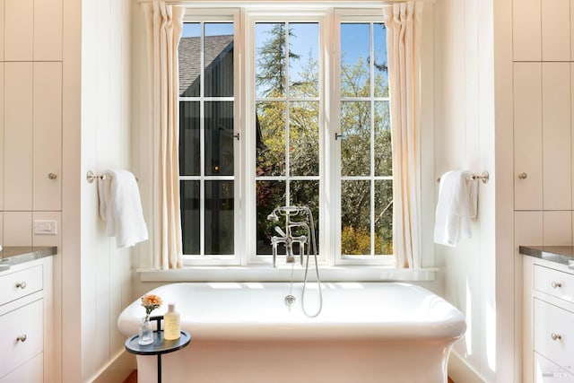 bathroom featuring a freestanding bath and plenty of natural light