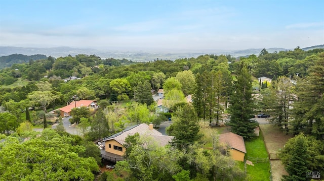 bird's eye view with a mountain view and a forest view