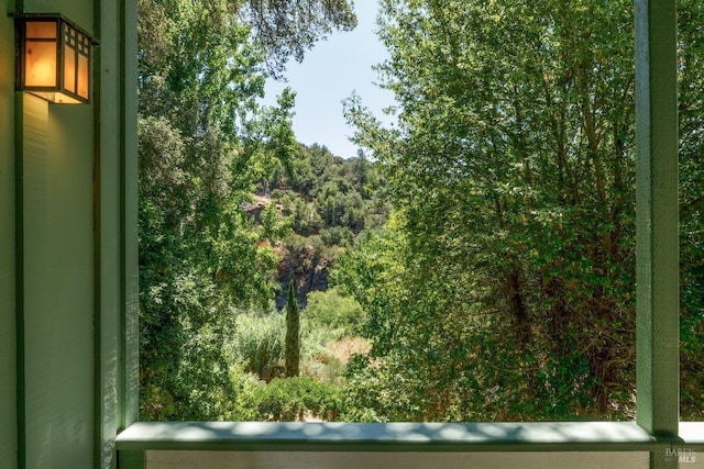 2410 S Fitch Mountain Rd, Healdsburg, CA 95448 - view of nature with a view of trees