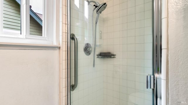 full bathroom featuring a shower stall