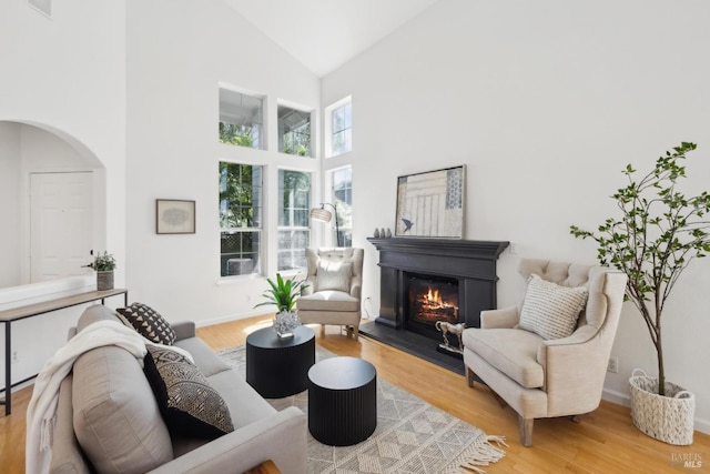living area with a glass covered fireplace, light wood-style flooring, and high vaulted ceiling
