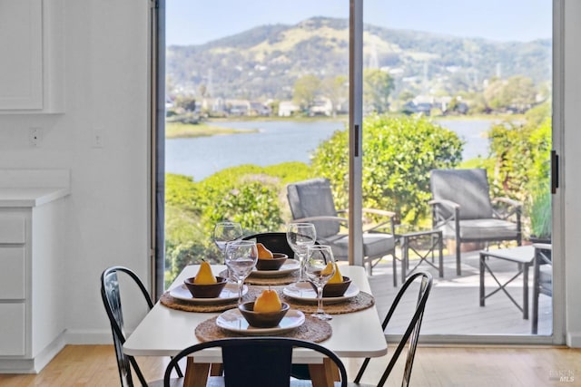 dining room featuring baseboards, a water and mountain view, and light wood finished floors