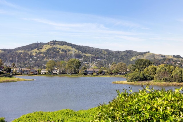 water view featuring a mountain view