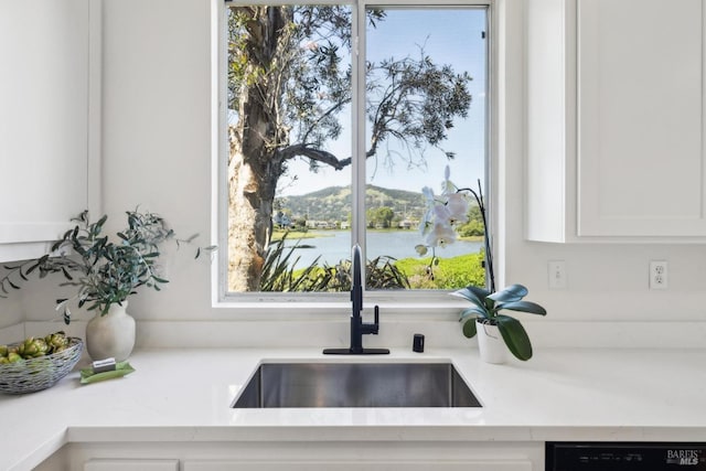 interior details featuring black dishwasher, white cabinets, and a sink