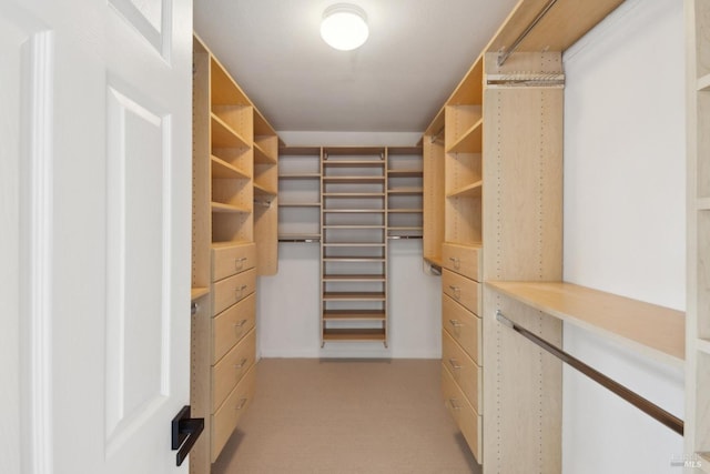 walk in closet with light carpet