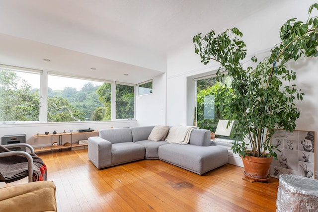 55 Sunshine Ave, Sausalito, CA 94965 - living room with hardwood / wood-style floors