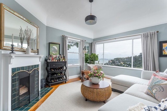 55 Sunshine Ave, Sausalito, CA 94965 - living room featuring baseboards, wood finished floors, and a fireplace