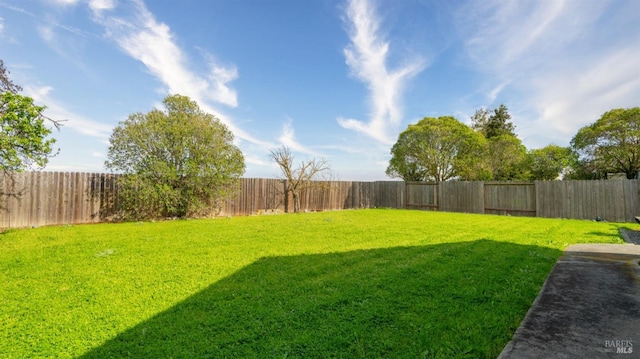 view of yard featuring a fenced backyard