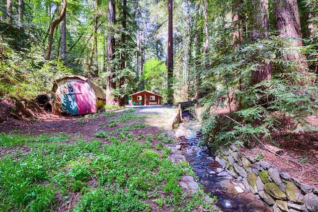 view of yard featuring a view of trees, an outdoor structure, and a shed