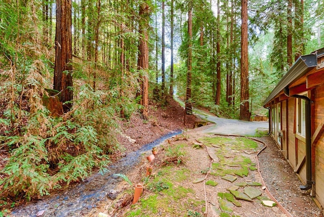 view of yard featuring a forest view