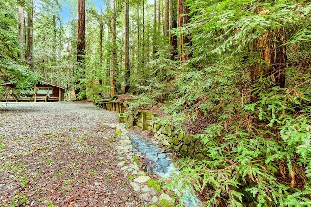 view of yard with a wooded view