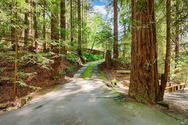 view of road