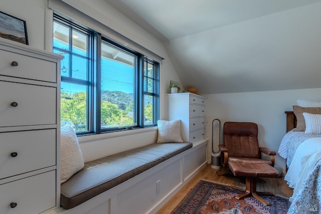 sitting room with light wood-type flooring and vaulted ceiling