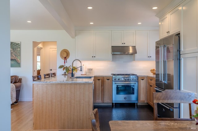 kitchen featuring light stone countertops, under cabinet range hood, a sink, high quality appliances, and backsplash