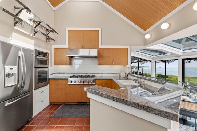 kitchen with a sink, a water view, under cabinet range hood, stainless steel appliances, and high vaulted ceiling