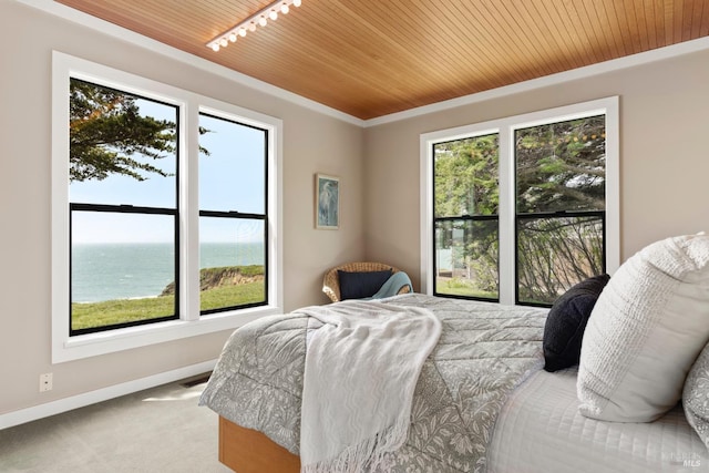 carpeted bedroom with wooden ceiling, multiple windows, and visible vents
