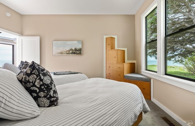 carpeted bedroom with visible vents, baseboards, and multiple windows