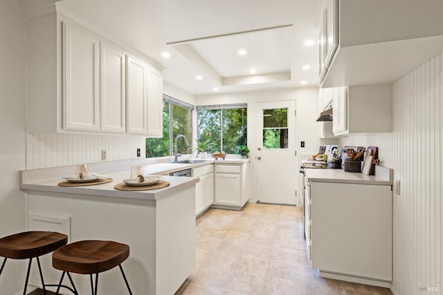 1009 Tilton Rd, Sebastopol, CA 95472 - kitchen with a sink, a peninsula, light countertops, white cabinetry, and recessed lighting